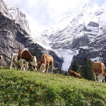 Apartmán Firstsunne Grindelwald Exteriér fotografie