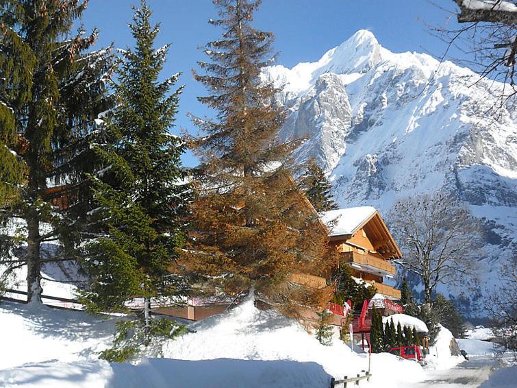 Apartmán Firstsunne Grindelwald Exteriér fotografie