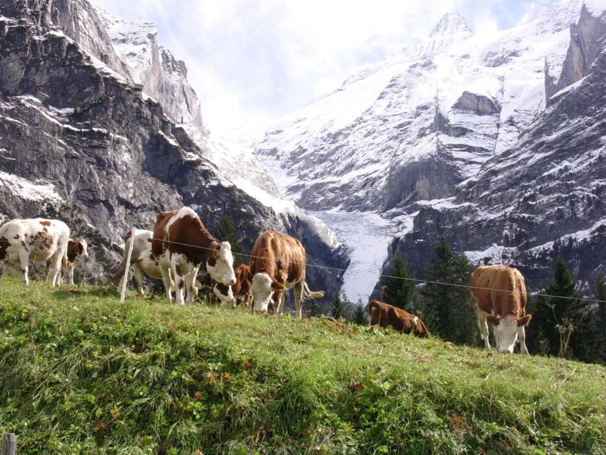Apartmán Firstsunne Grindelwald Exteriér fotografie